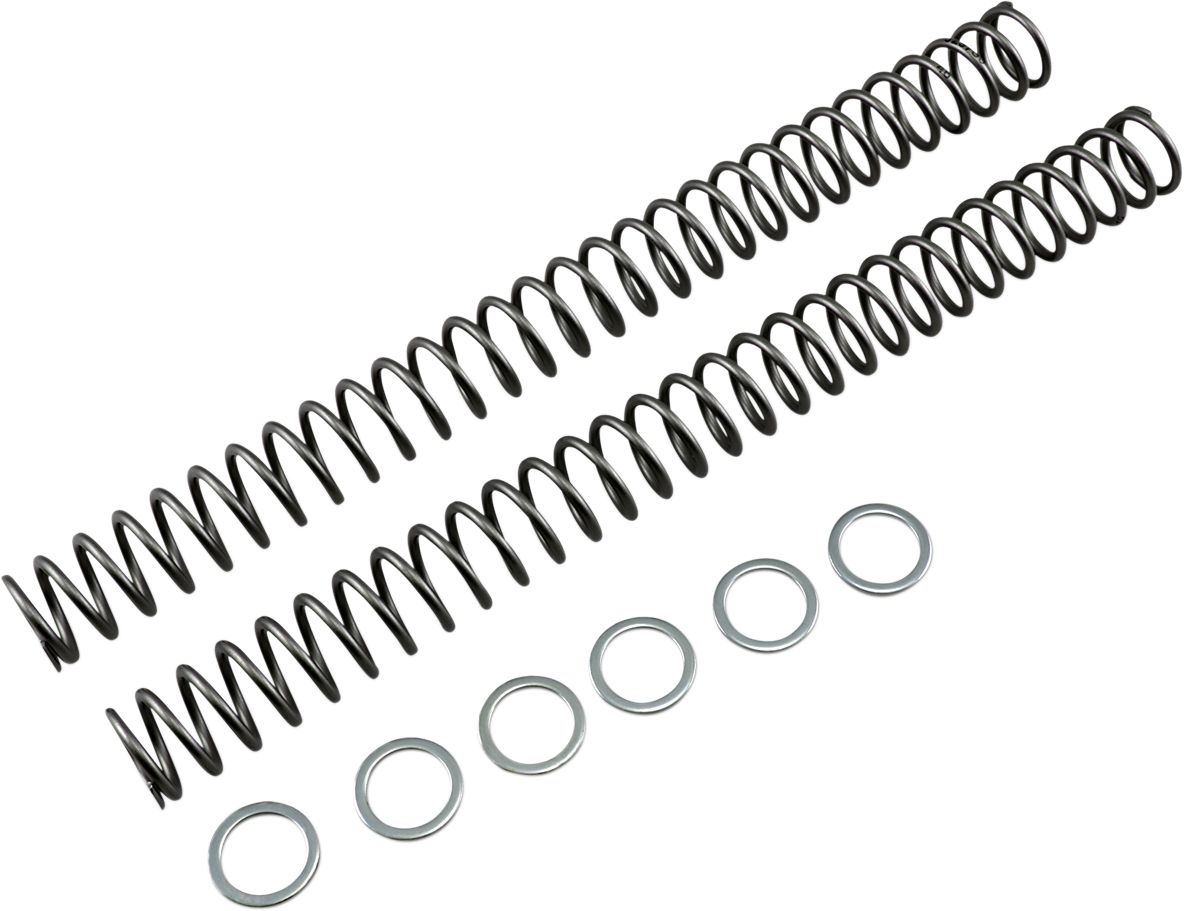 Race Tech Fork Springs