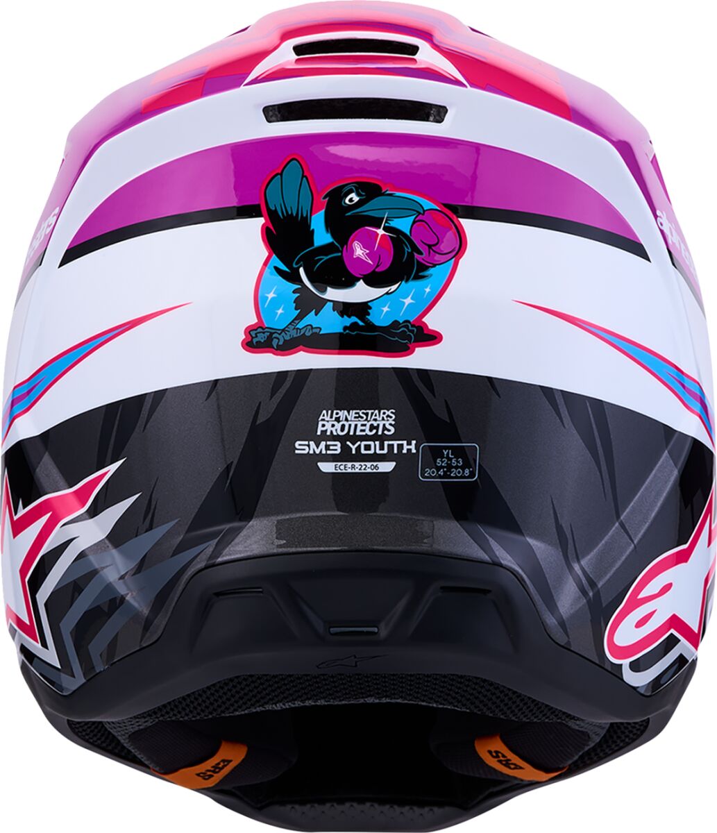 Casco SM3 Falcon Youth Alpinestars - 2