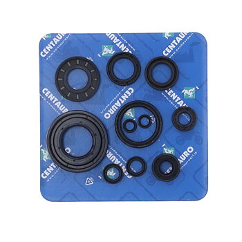 Centauro Oil Seal