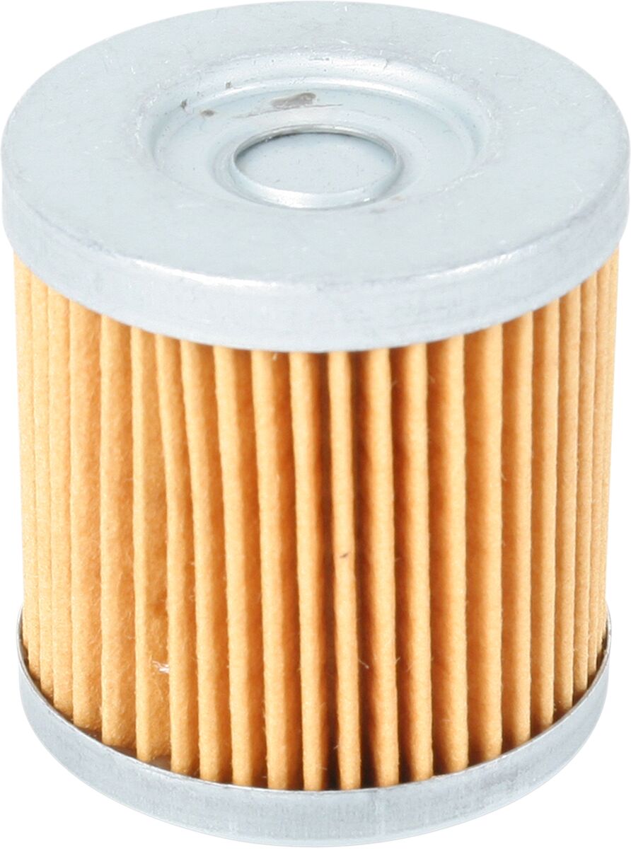 Parts Unlimited Ölfilter
