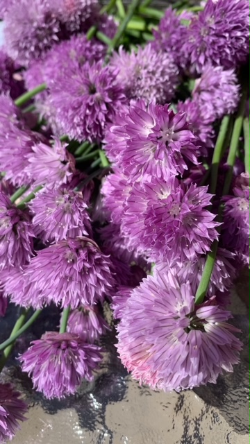 gräslöksblommor
