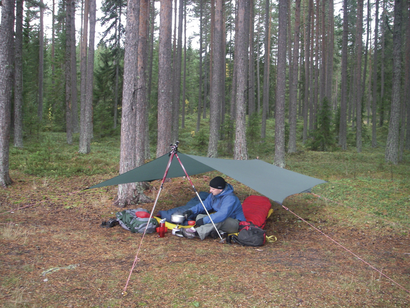 Hilleberg Tarp 5 - Minimalist tarp - Green - Backpackinglight.dk