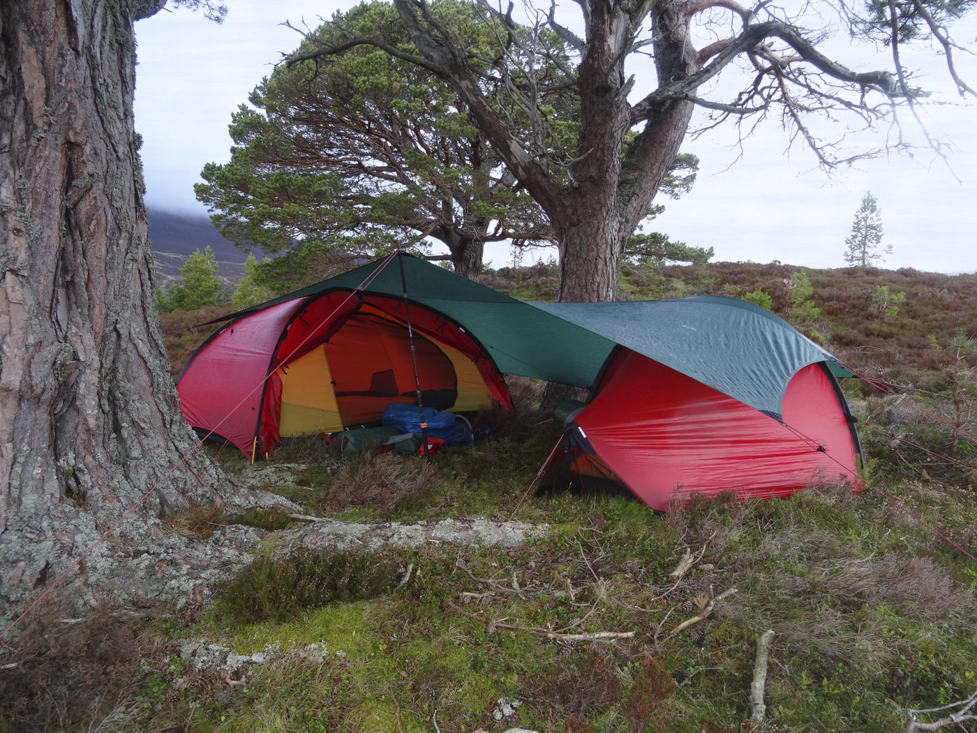 Hilleberg Tarp 5 - Minimalist tarp - Green - Backpackinglight.dk