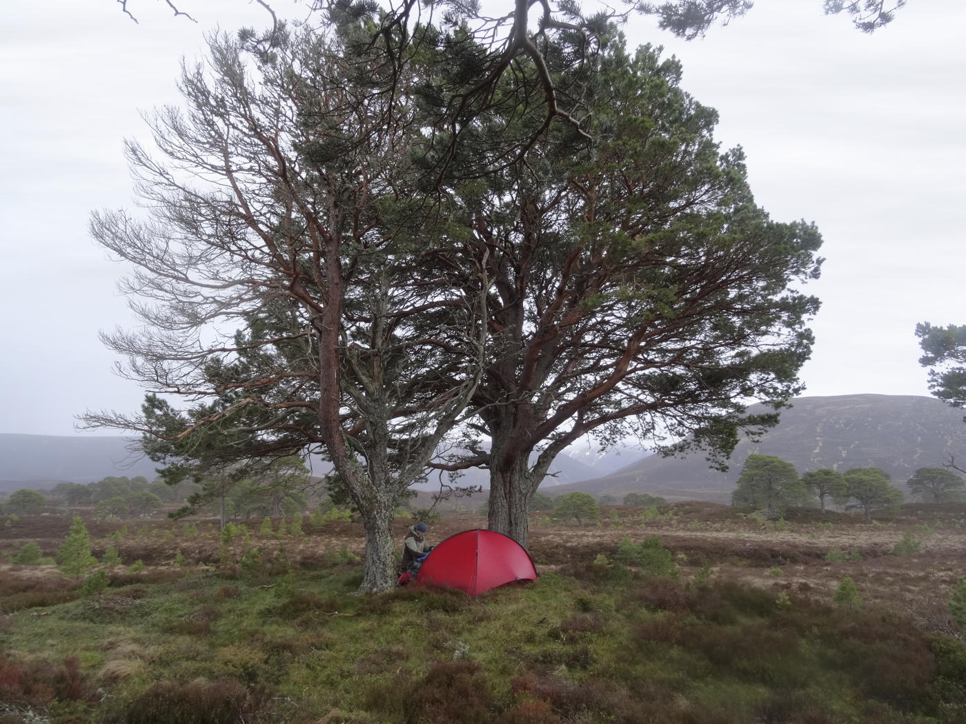 Hilleberg Niak Arena - 10