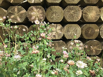 Byggtimmer 14-18/200 Skålat NTR A 36st/PAKET