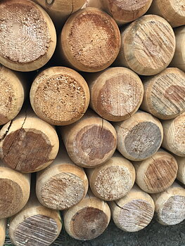 Hinderbom oimpregnerad 95 x 3000 mm Styck