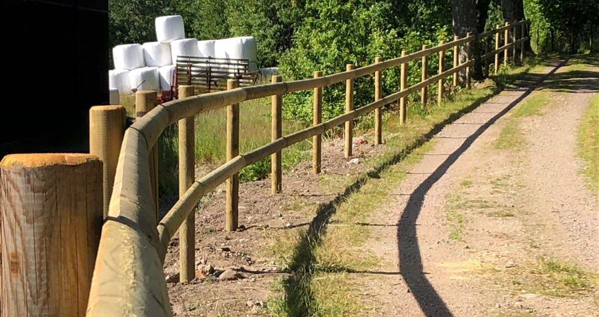 Animal fence