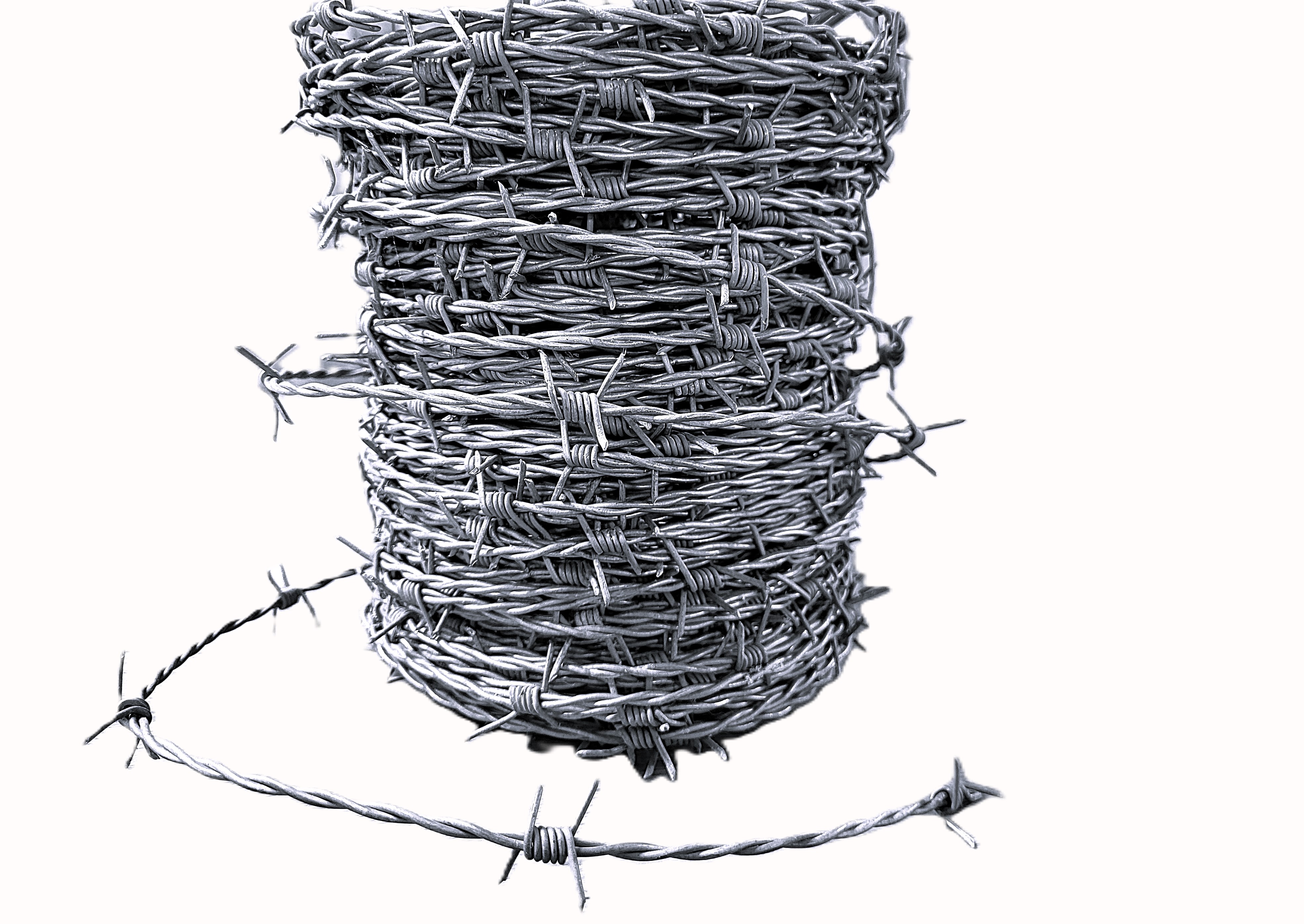 Netting & Barbed Wire