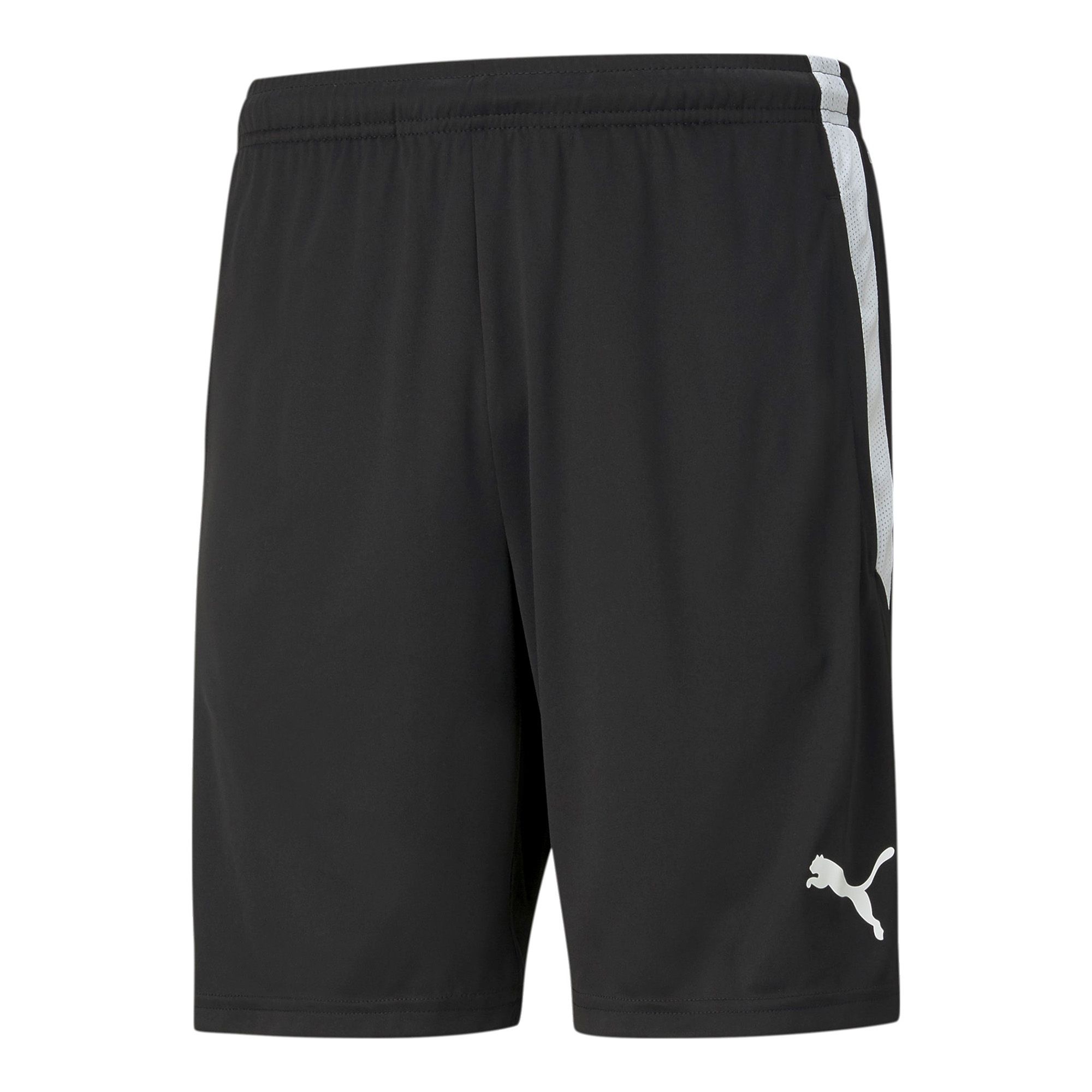 Puma Teamliga  Training Shorts (BBK Fotboll Ledare)
