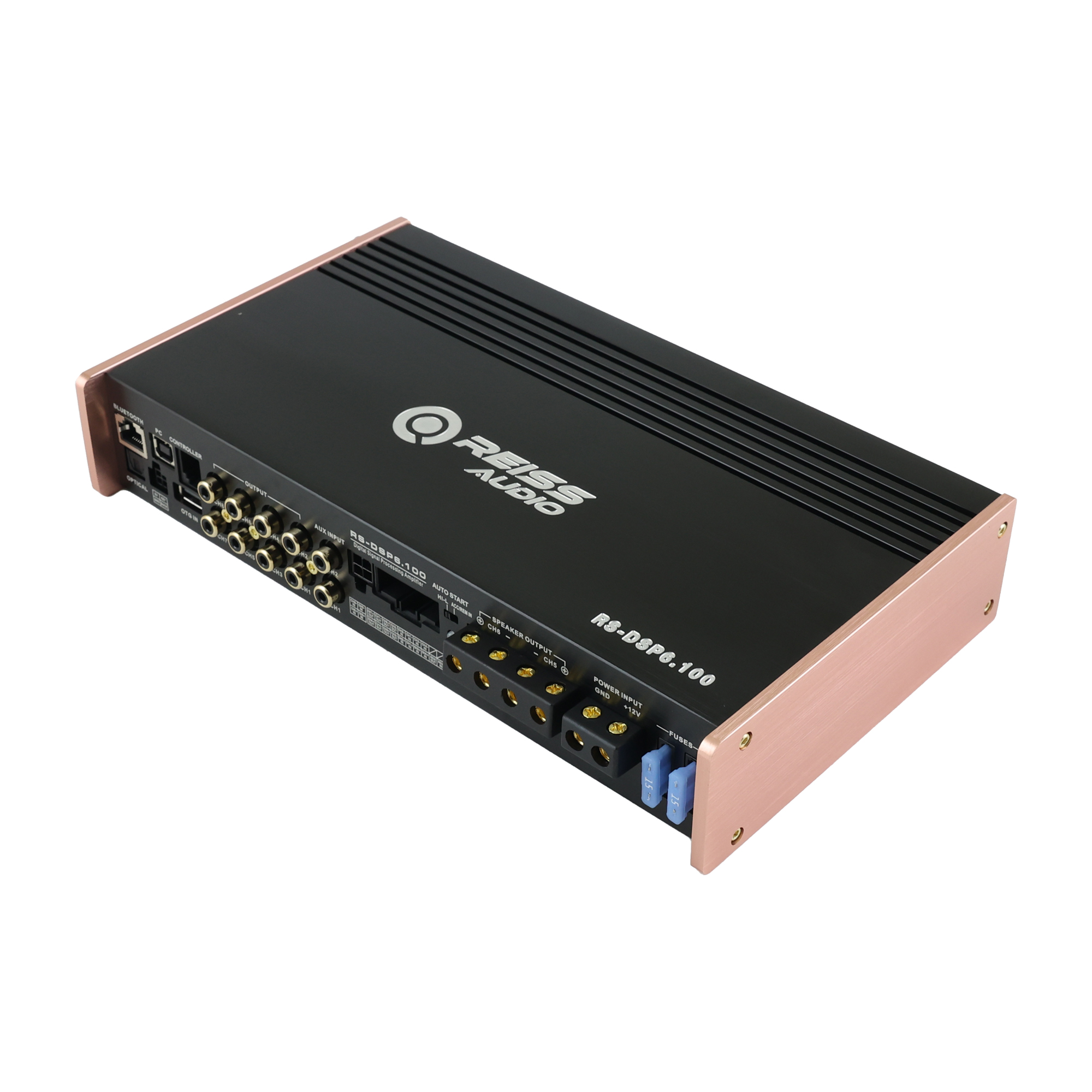 Reiss RS-DSP6.100 - 2