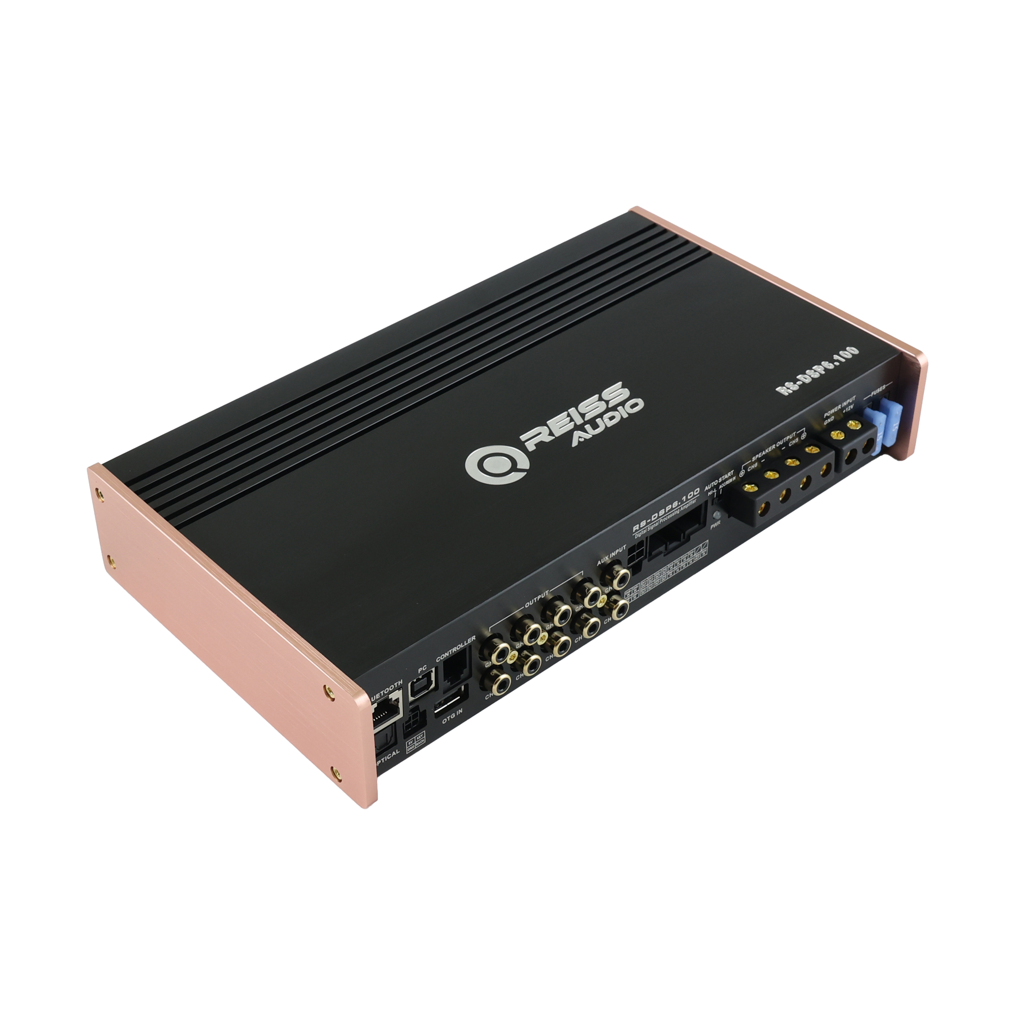 Reiss RS-DSP6.100 - 3