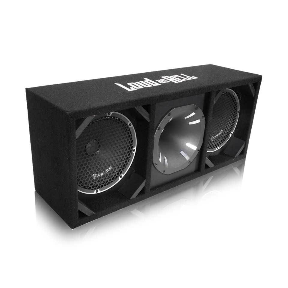 2x8" RS-M8ARN Pro låda med Inferno Horn