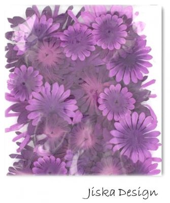 YD Blommor Lila 44-pack