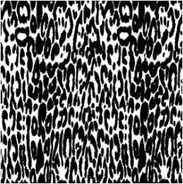 Leopard 30x30cm