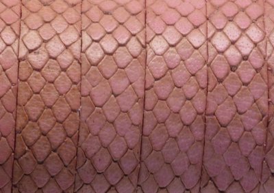 Läderband Platt Rosa 10x1,5mm 20cm
