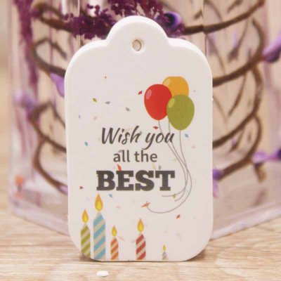 Pappers Tag "Wish you all the best" 50x30mm 10st