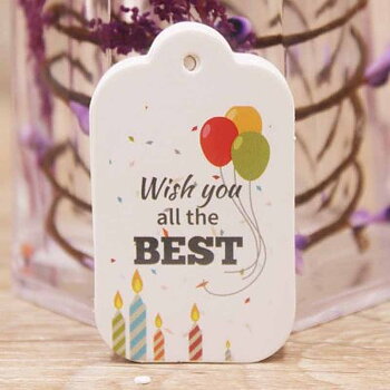 Pappers Tag "Wish you all the best" 50x30mm 10st