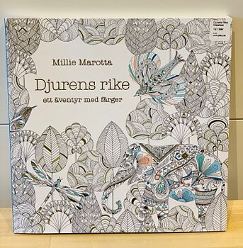 Målarbok - Djurens Rike 1st