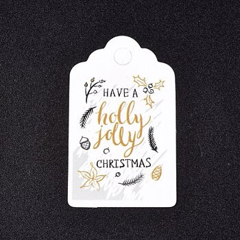 Pappers Tag "Have A Holly Jolly Christmas" 50x30mm 10st