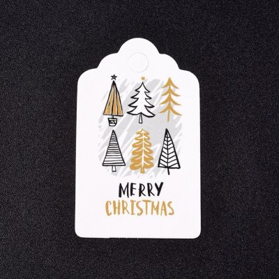 Pappers Tag "Merry Christmas" 50x30mm 10st