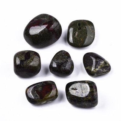 Drakblod Trumlad 2-4cm 1st