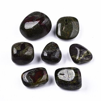 Drakblod Trumlad 2-4cm 1st