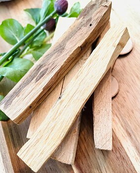 Palo Santo 10cm 1st