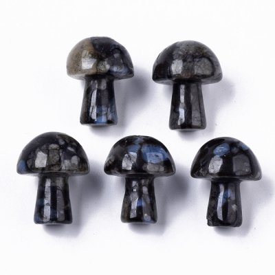Labradorit Svamp Mushroom Gua Sha 20x15mm 1st