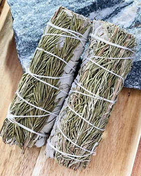 Vit Salvia med Rosmarin Bunt 10cm 1st