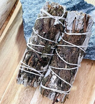 Vit Salvia med Pepparmynta Bunt 10cm 1st