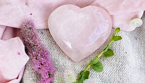 Kristallhealing Certifierad Kristallhealer Diplomerad Kristallhealer - Djur