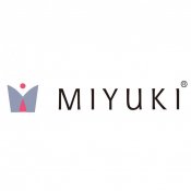 Seed Beads Miyuki Delica