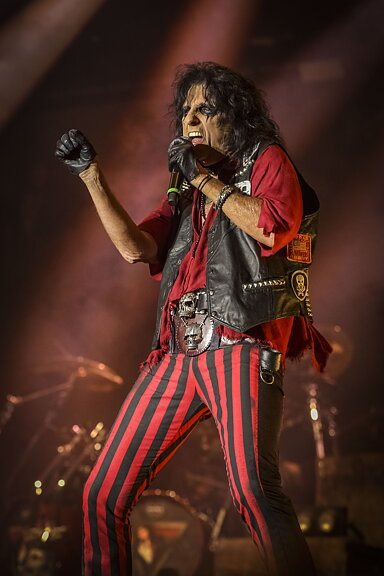 Alice Cooper     594 x 841 mm