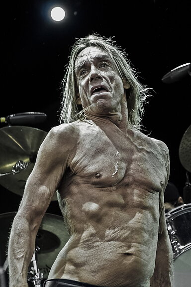 Iggy Pop 420 x 594 mm