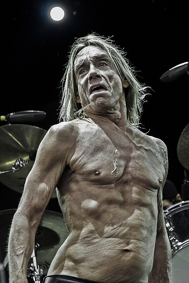 Iggy Pop 420 x 594 mm