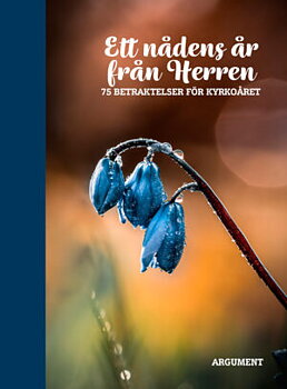 Ett nådens år från Herren - 75 betraktelser för kyrkoåret
