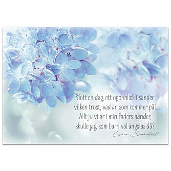 Vykort - Blott en dag