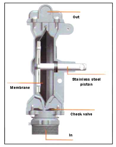 Doppelt wirkende Membranpumpe  - 2