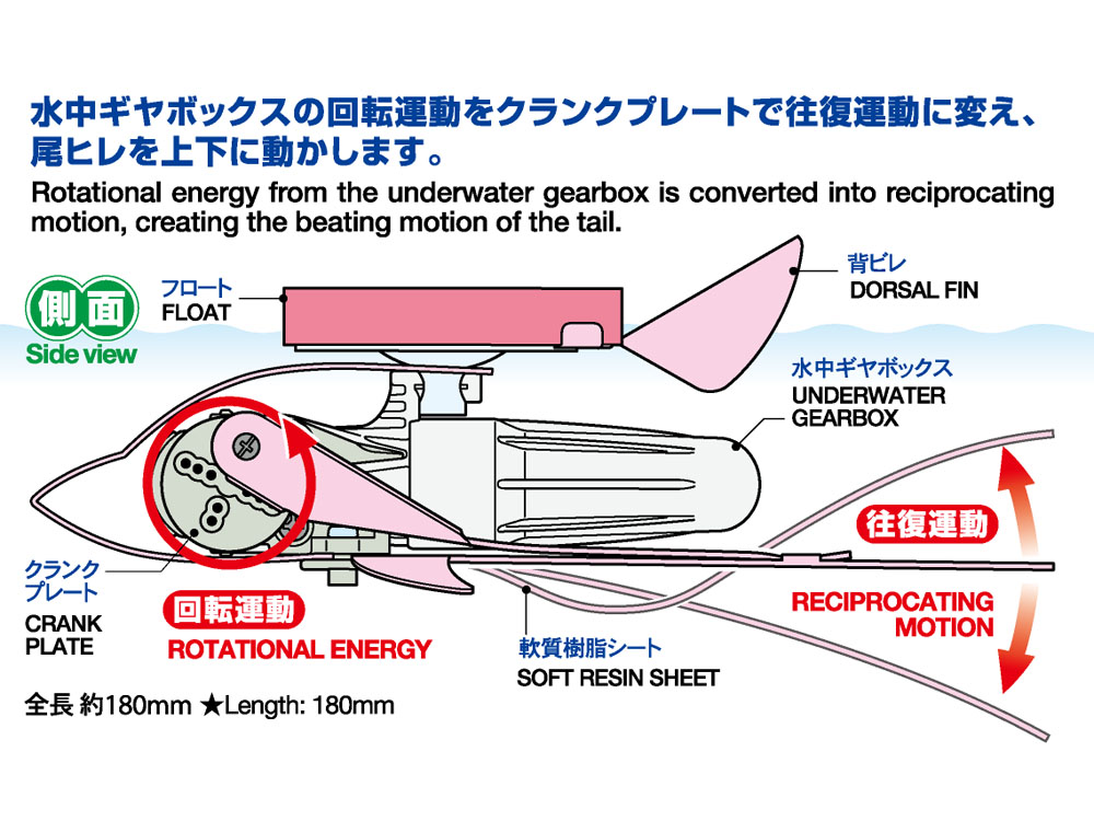 Tamiya 70224 Swimming Dolphin - 2