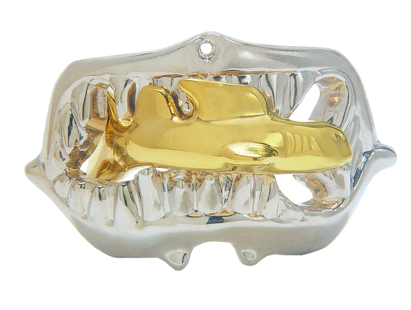 Cast Puzzle Cast Shark level 1 - hanayama