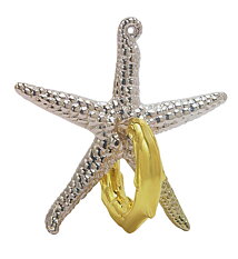 Cast Puzzle Cast Starfish level 2 - hanayama