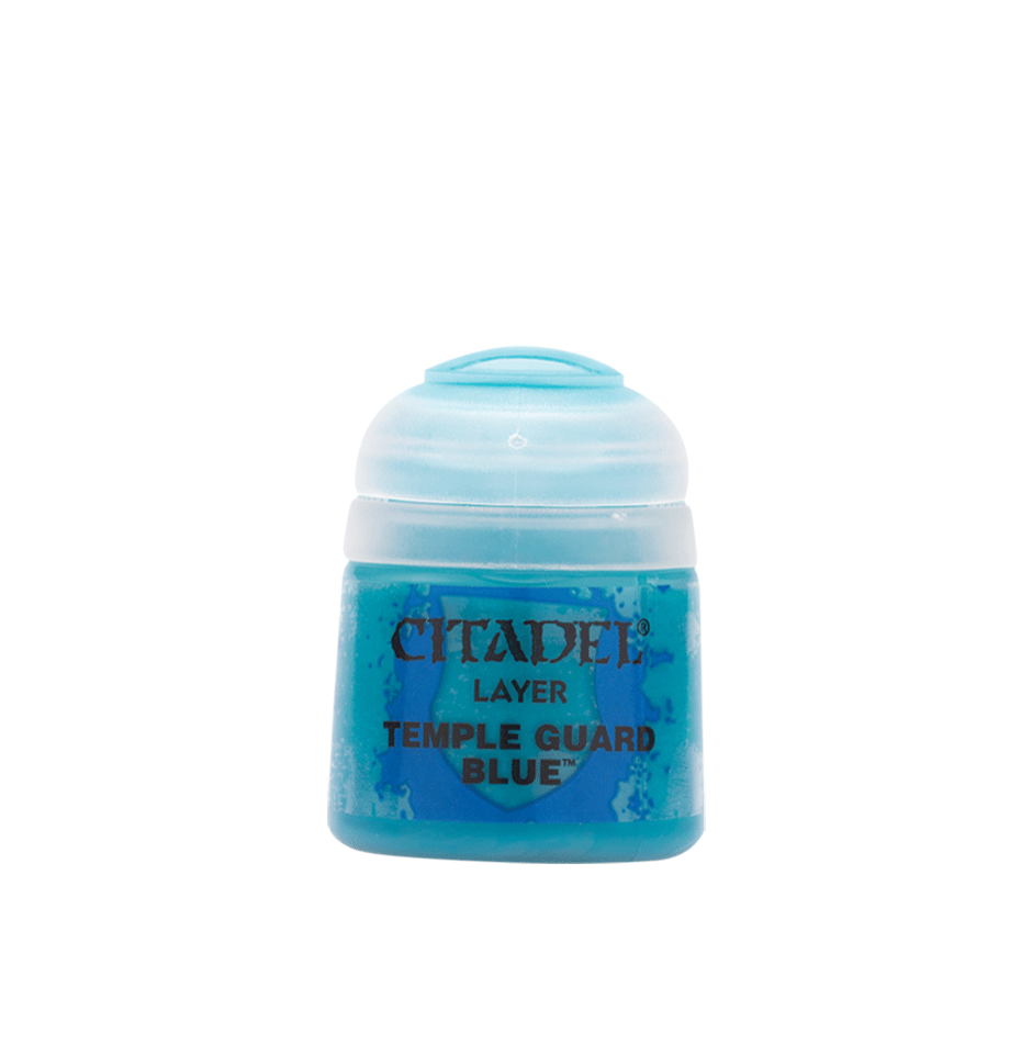 Citadel 22-20 Temple guard blue