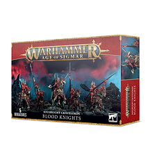 Warhammer 91-41 Soulblight Gravelords: Blood Knights
