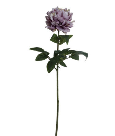 Kvist Hortensia Lila, 70 cm - 3