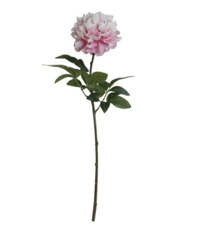 Kvist Hortensia Rosa, 70 cm - 4