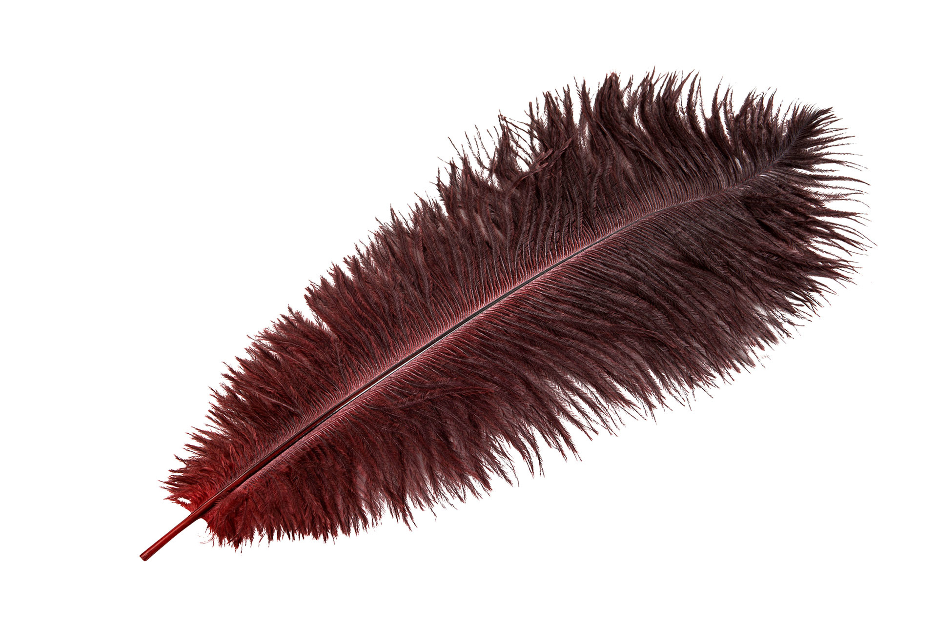 Strutsfjäder Mörkröd 40-45cm