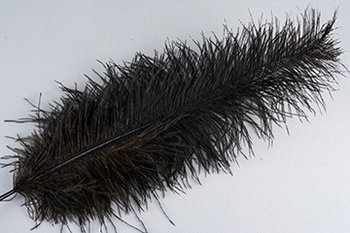 Strutsfjäder Svart 40-45cm