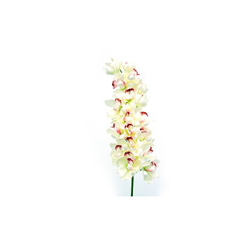 Konstblomma Orkidé offwhiterosa, 90 cm