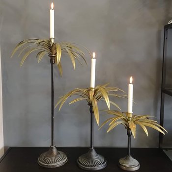 Ljusstake Palm, 43x46 cm