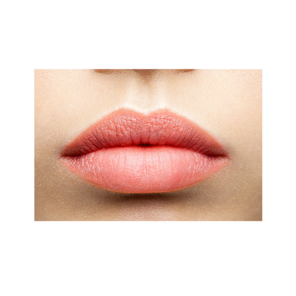 Lip Care Colour (Sheer Pink)